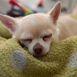 Программы лояльности казино без депозита с подарочными коробками